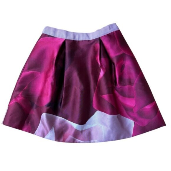 Ted Baker London Skirt Size 4 - Picture 1 of 7